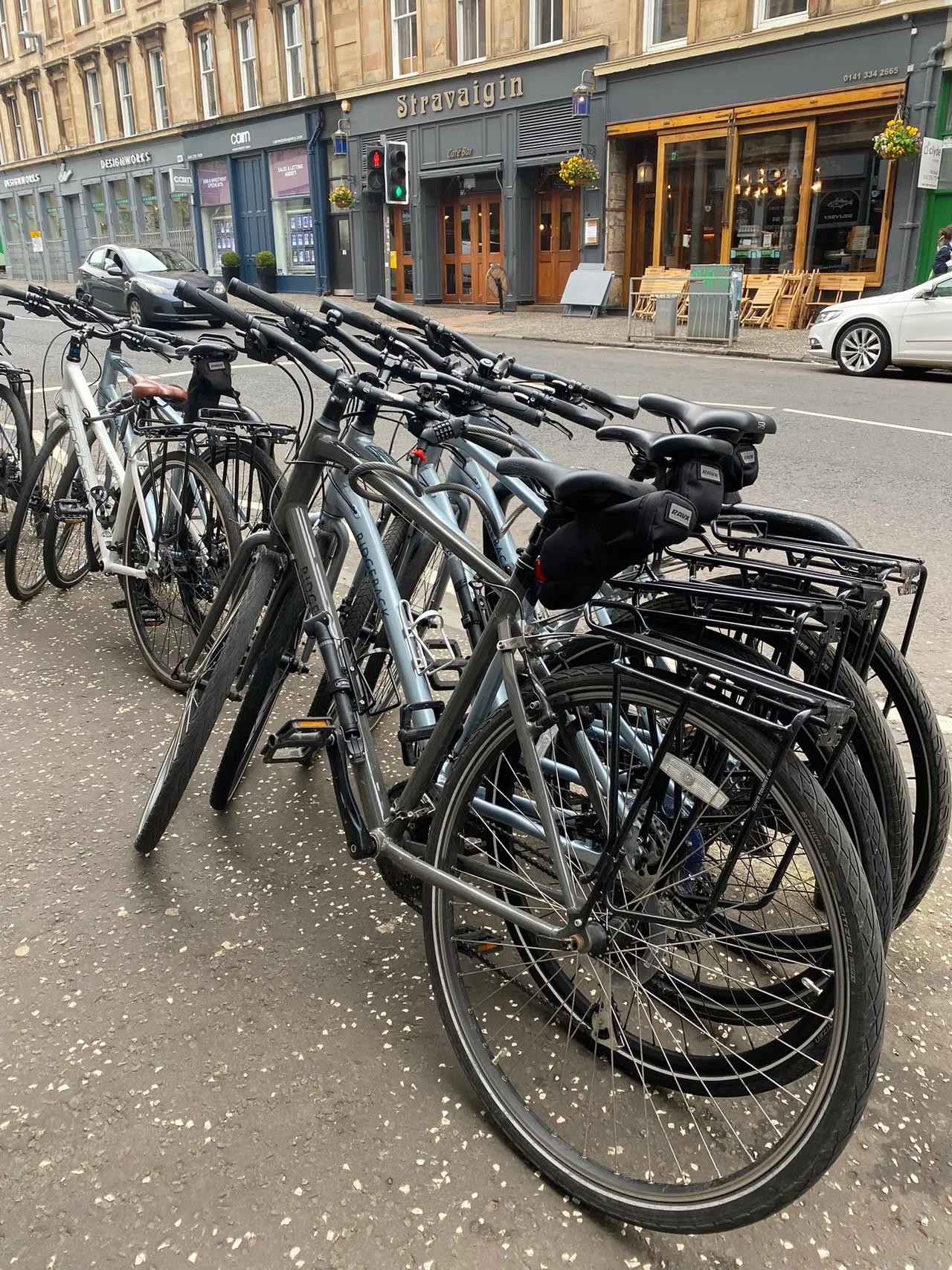 A row of Gear Bikes hire bikes lined up on Gibson Street