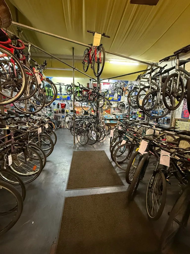 Inside Gear Bikes: rows of bikes along the shop floor